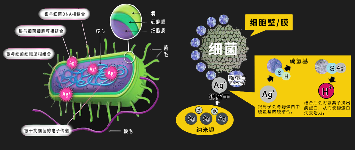 无机纳米银sil-guard与常规抗菌剂对比